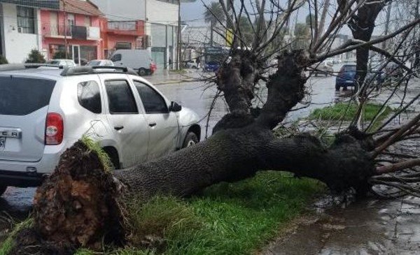 Imagen destacada de noticia