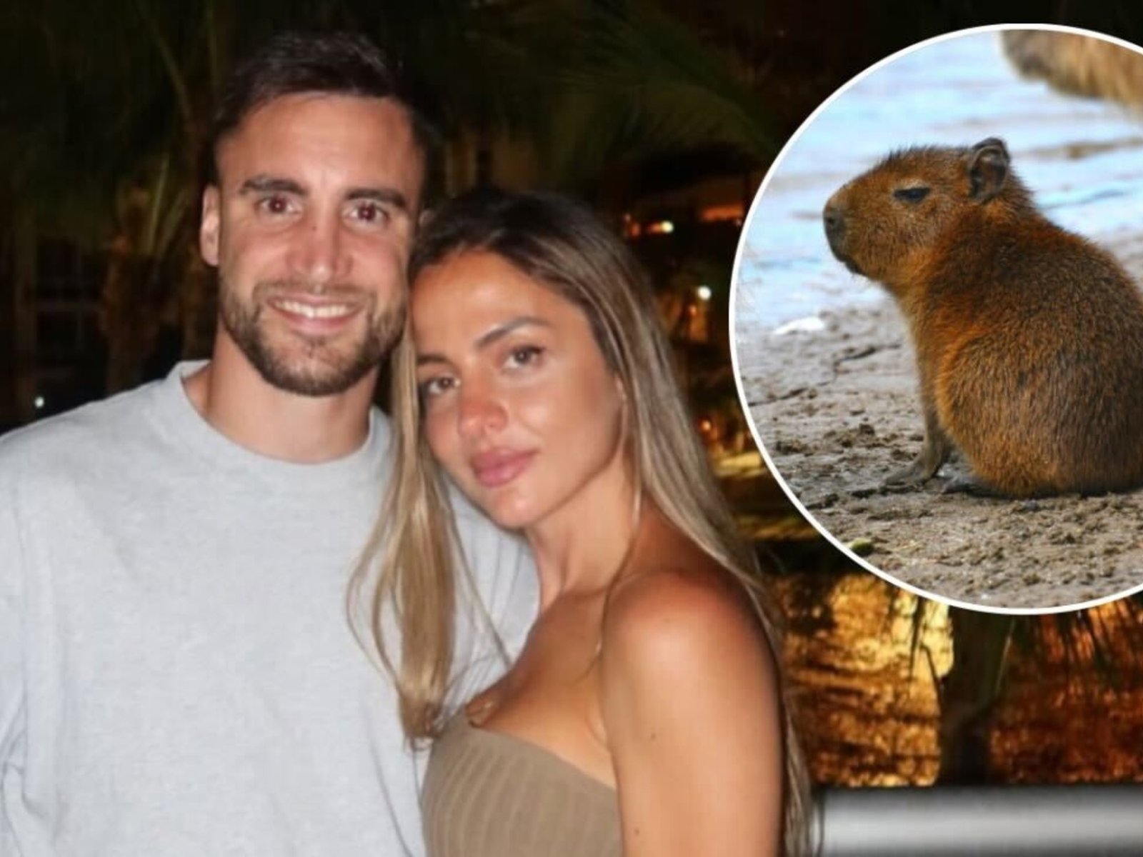 La lucha por la convivencia entre humanos y fauna en Nordelta En un episodio que ha reavivado la controversia sobre la r... Descubre más sobre permitió, norm...