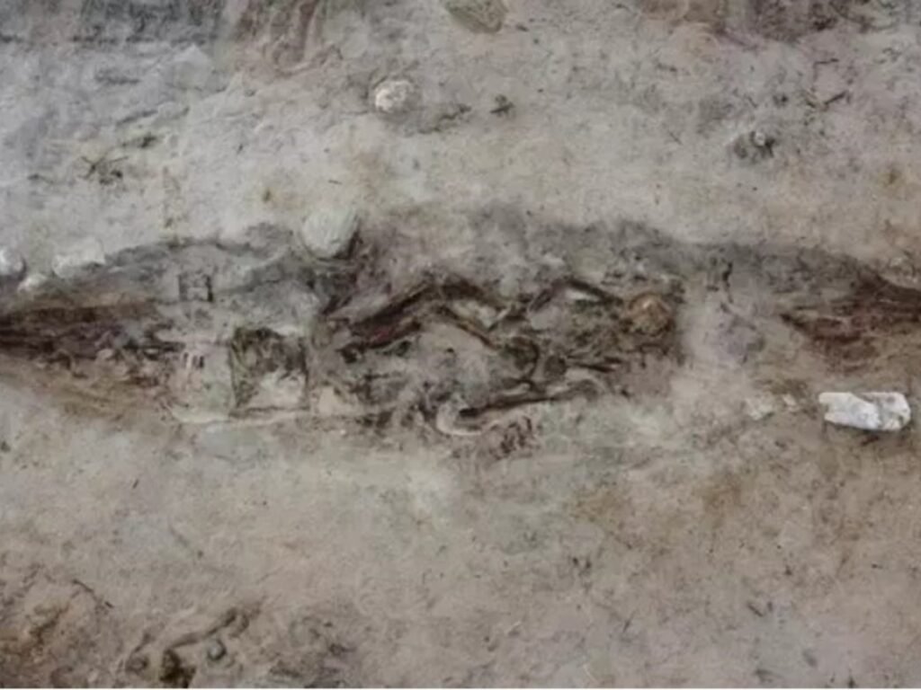 Imagen destacada de noticia