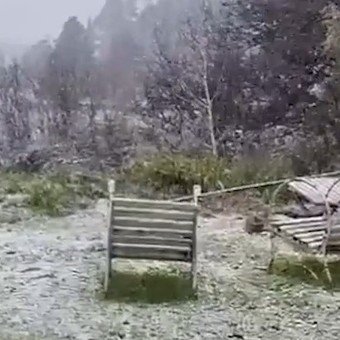 Ola de frío extremo: nieve en la provincia de Buenos Aires y aguanieve en la Ciudad y alrededores