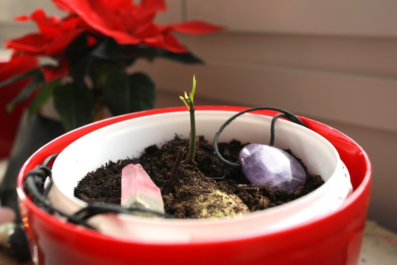 Que cada piedra que sembrés en el ritual sea un proyecto que querés hacer germinar. Foto: ilustración Shutterstock