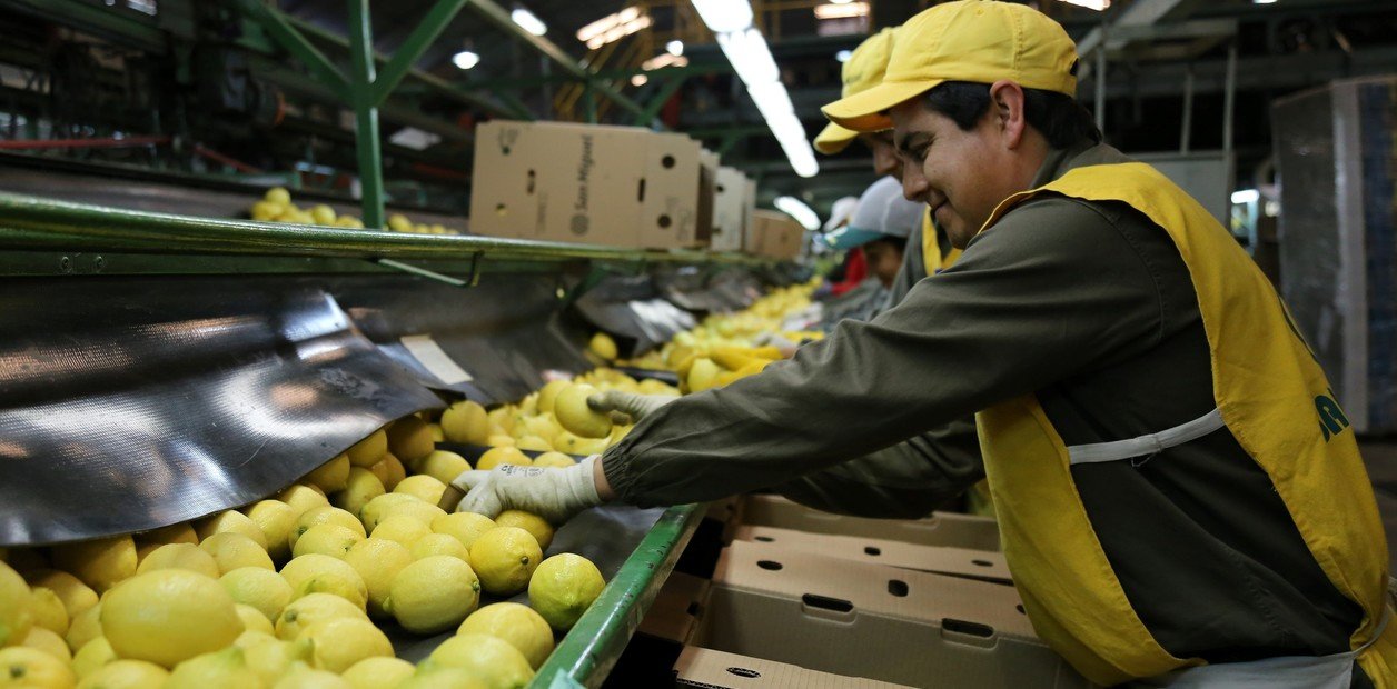 La citrícola San Miguel en la cuerda floja: un rescate financiero en tiempos inciertos En un contexto económico volátil,... Descubre más sobre compañía, adap...