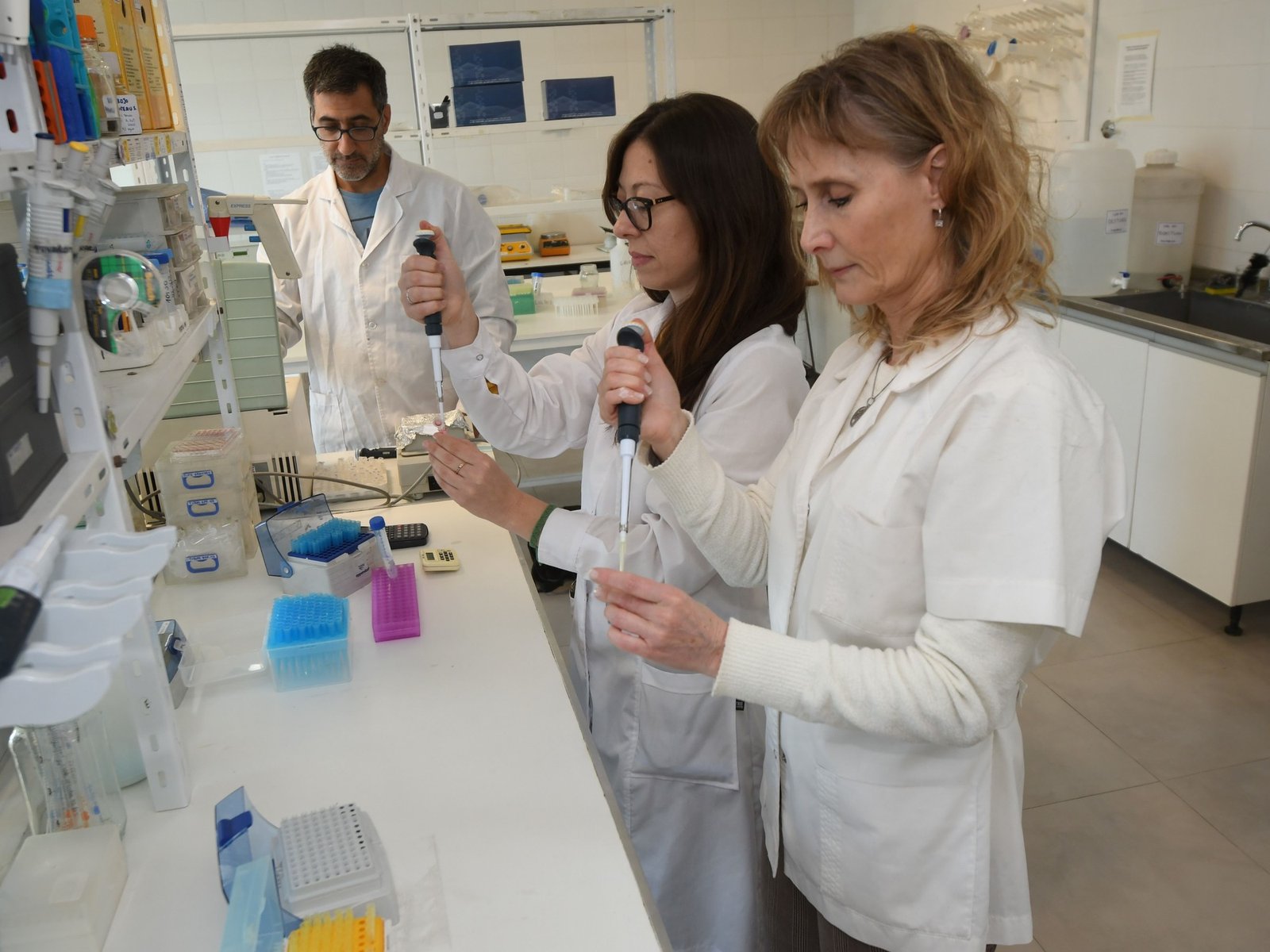 Desafíos y oportunidades para las universidades argentinas en el contexto global El panorama académico argentino enfrent... Descubre más sobre respaldar, sis...