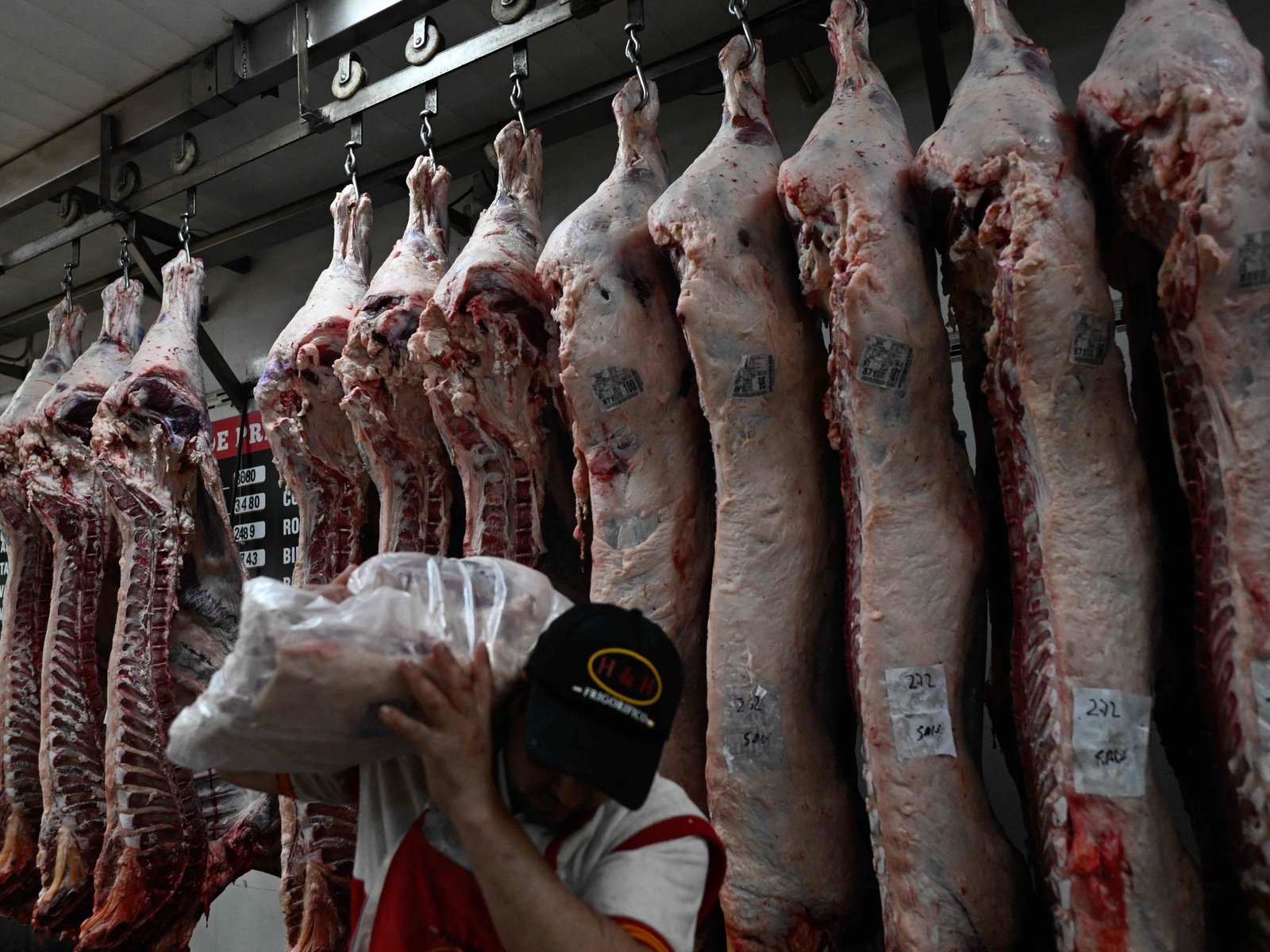  Un aumento significativo en la importación de carne: implicaciones para el mercado argentino La dinámica del mercad... Descubre más sobre creciente, cos...