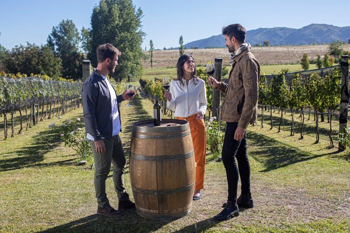 Los vinos de la provincia ganan cada vez más reconocimiento a nivel nacional e internacional. 