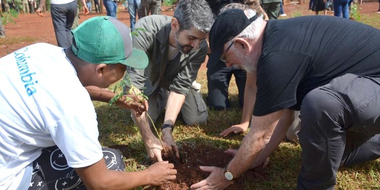 Imagen de noticia