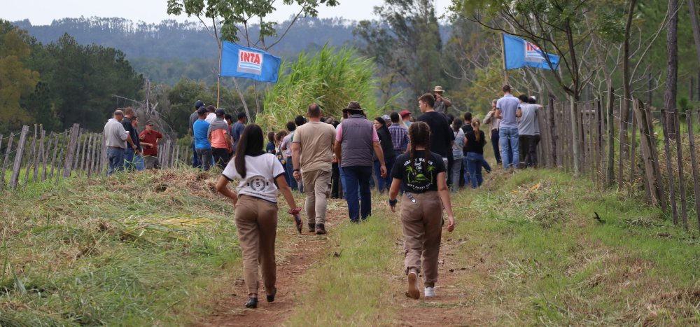 Imagen destacada de noticia