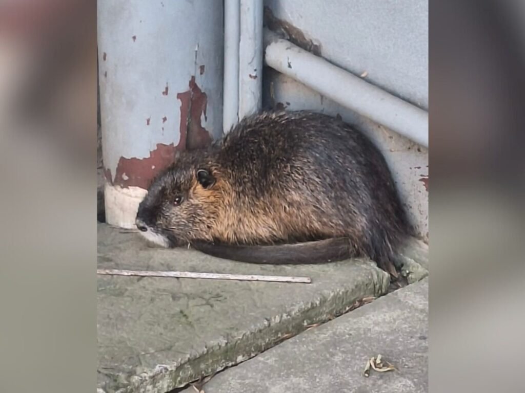 Imagen destacada de noticia