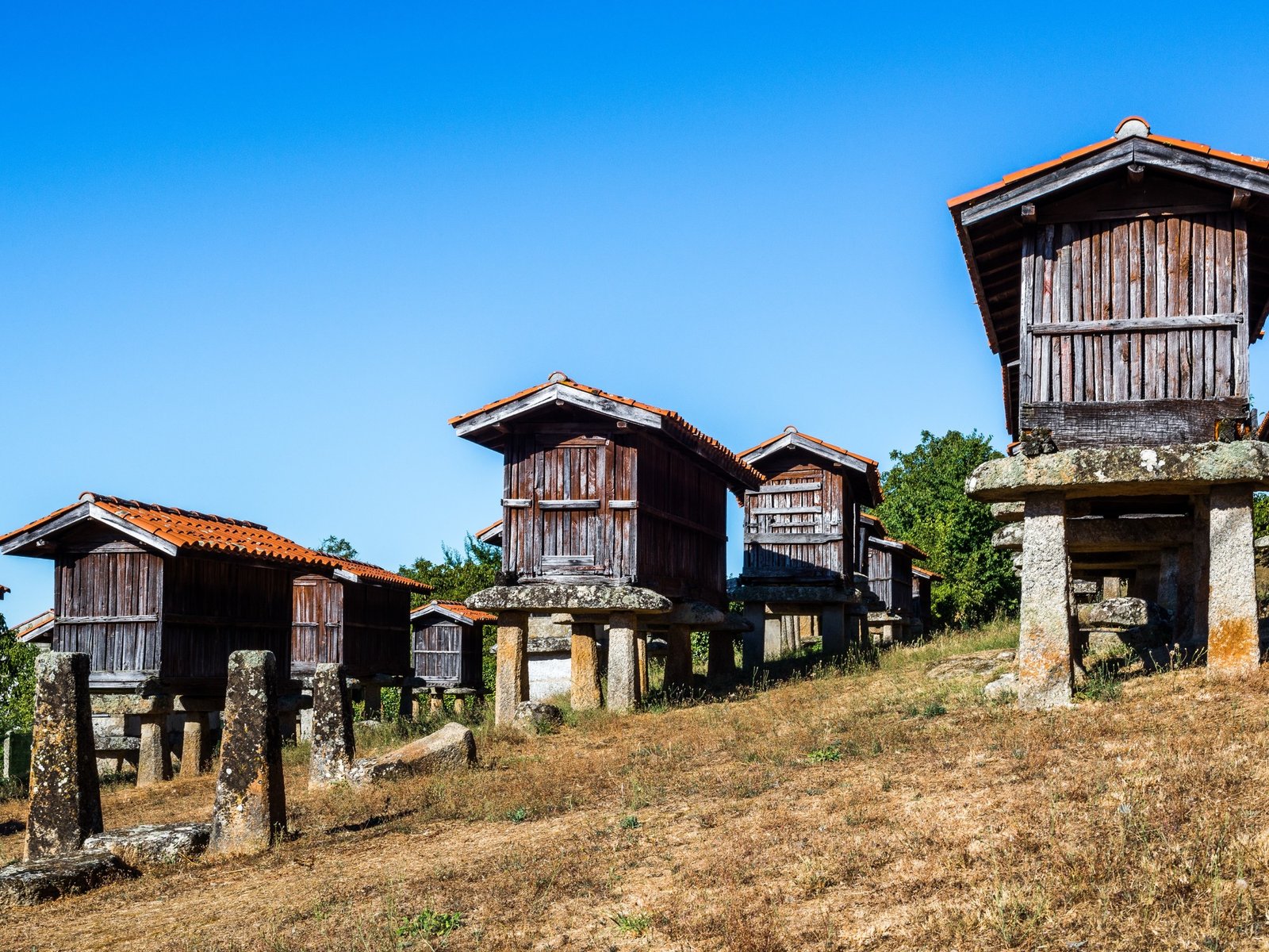Hórreos. Suelen ser de piedra, pero también hay mixtos, hechos de madera. Foto: Shutterstock