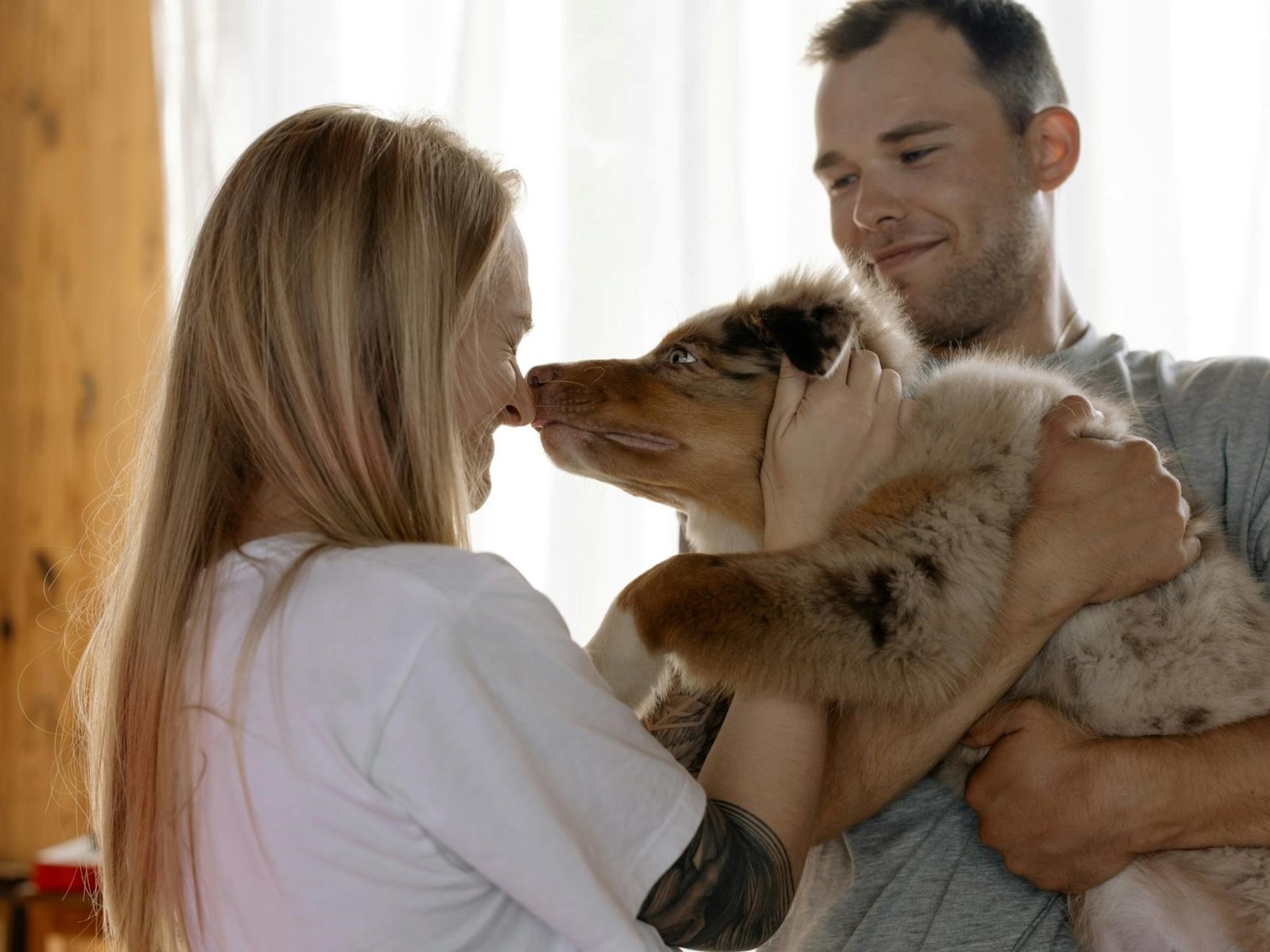 La huella positiva de los perros en nuestros hogares En un mundo cada vez más acelerado y lleno de incertidumbres, los p... Descubre más sobre sufren, nivele...