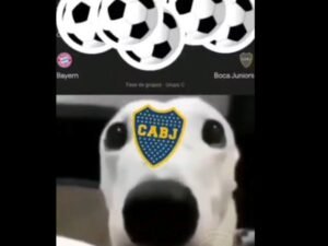 Imagen destacada de noticia