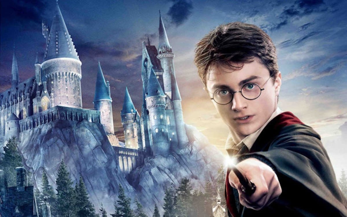 Harry Potter HBO TV Series Star Makes A Big Promise About His Hagrid Performance