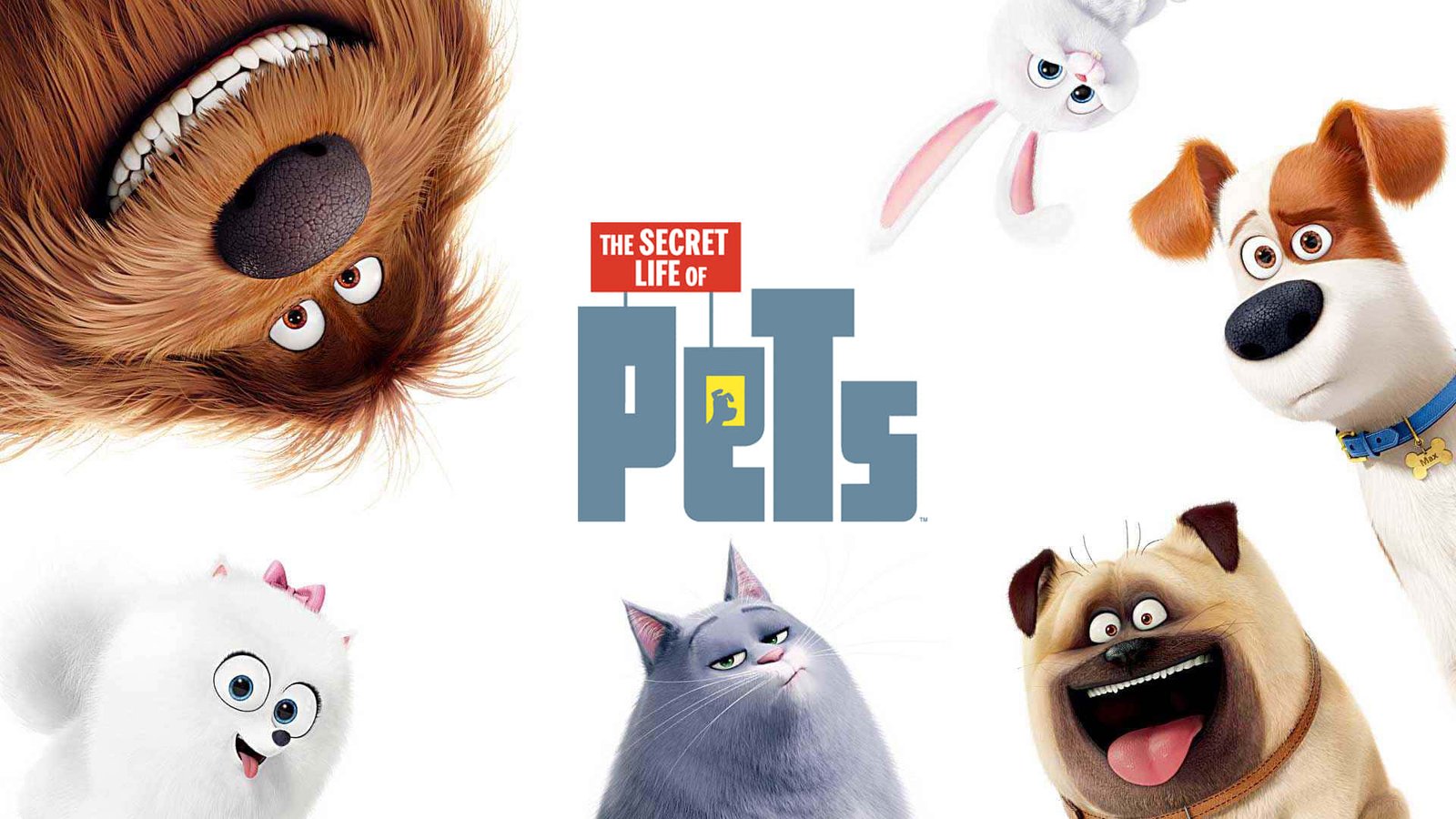 What’s Leaving Netflix UK in July 2025: ‘Elvis,’ ‘The Secret Life of Pets’ & ‘Overlord’