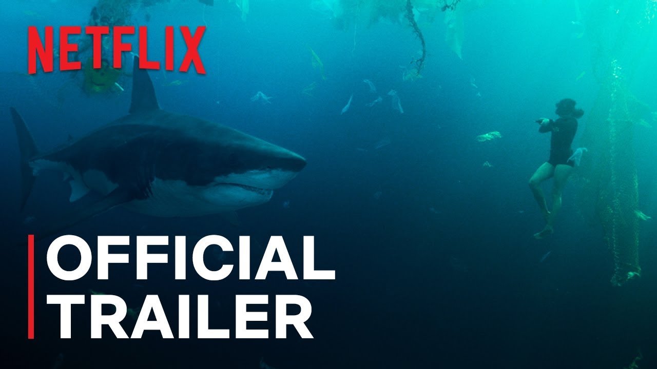 All the Sharks trailer: Photograph sharks, win money in Netflixs new reality competition