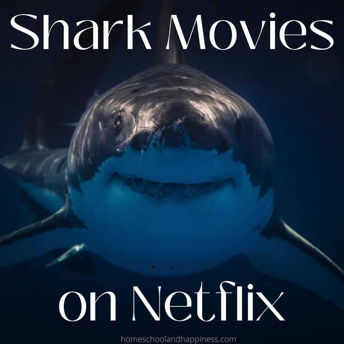 All the Sharks trailer: Photograph sharks, win money in Netflixs new reality competition