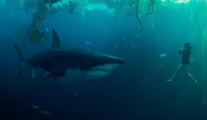 All the Sharks trailer: Photograph sharks, win money in Netflixs new reality competition
