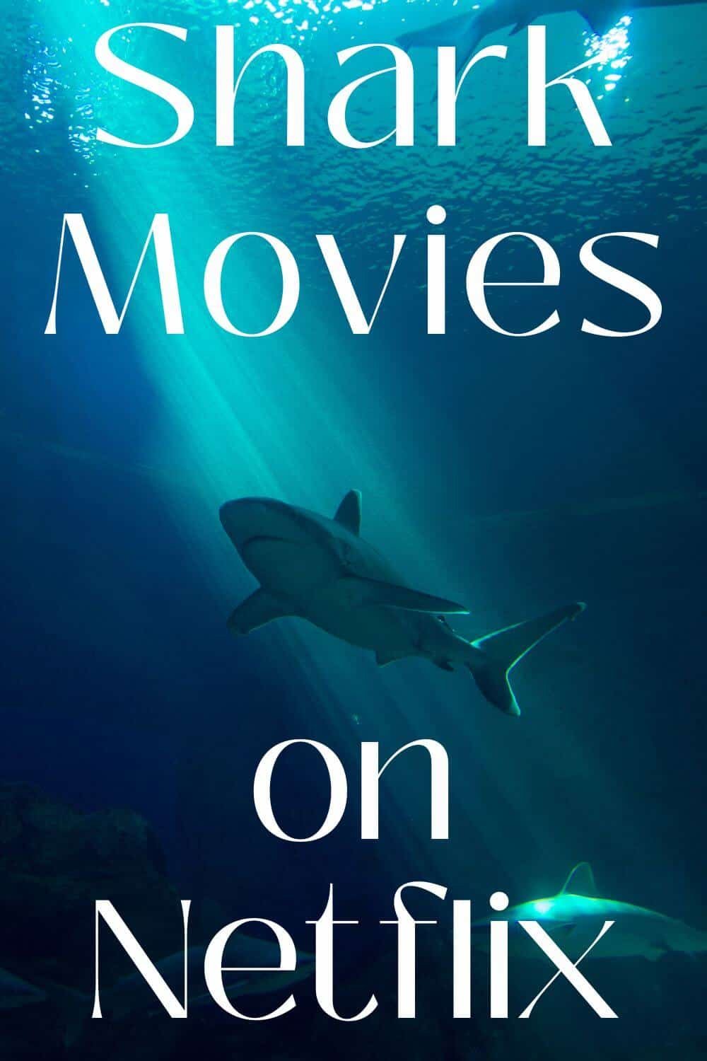 All the Sharks trailer: Photograph sharks, win money in Netflixs new reality competition