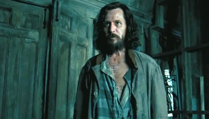 Gary Oldman Wants To Play This Character In HBO's Harry Potter TV Series