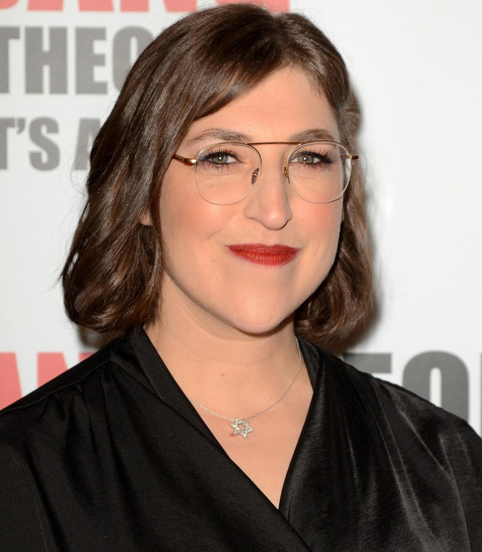 Mayim Bialik Disagreed With The Big Bang Theory Writers About One Late-Series Plot Point