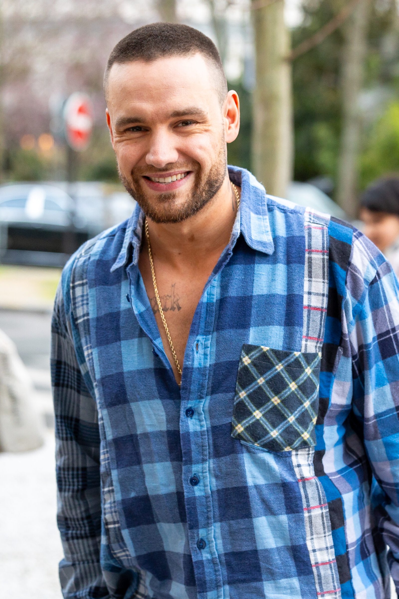 Liam Payne Featured in Netflix’s ‘Building the Band’ Trailer