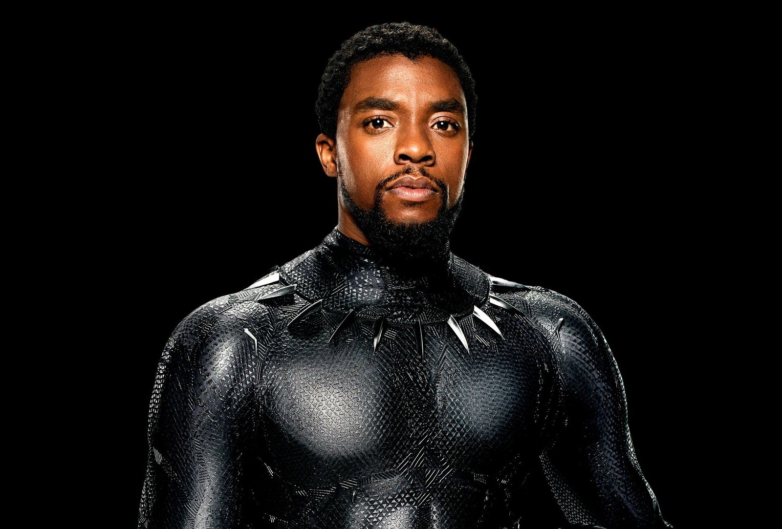 A Marvel Actor Voiced Black Panther In An Underrated TV Series