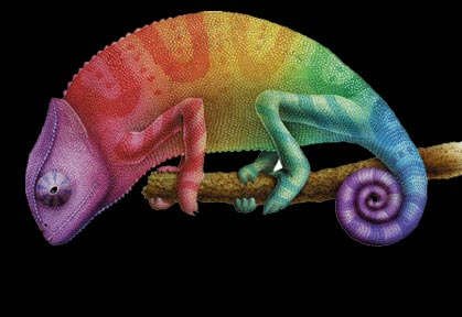Imagen de mascota exótica