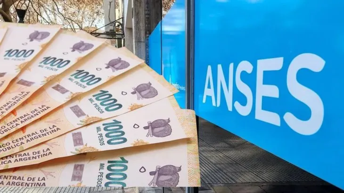 El impacto del ajuste en las prestaciones del sistema de seguridad social argentino La Administración Nacional de Seguri... Descubre más sobre medida, susten...