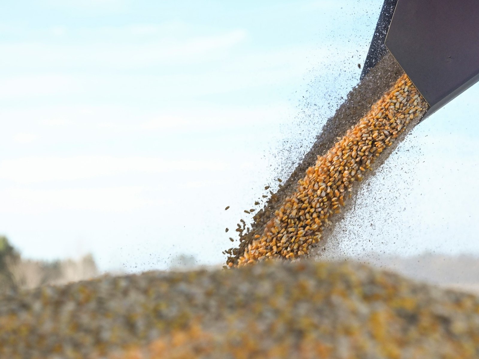 La paradoja argentina: un país con potencial exportador atrapado por sus propias restricciones En medio de una economía ... Descubre más sobre internacional,...