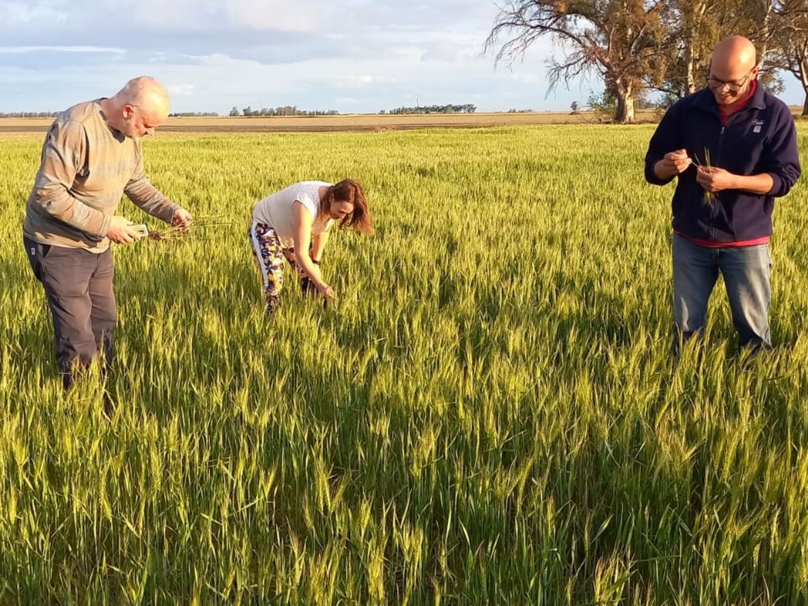  Transformando el Territorio a Través de Alianzas Estratégicas En el corazón de Córdoba, el Centro Regional Córdoba ... Descubre más sobre semillera, tra...