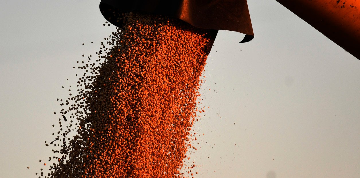 Desafíos en la producción agrícola argentina: un análisis de costos comparativos En medio de un panorama global cada vez... Descubre más sobre final, necesid...