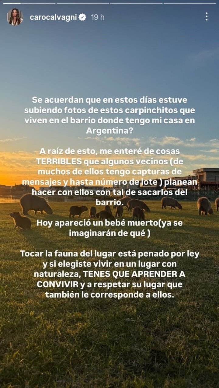 Caro Calvagni, la esposa de Nicolás Tagliafico, denunció que asesinaron a un carpincho bebé frente a su casa. Foto: Instagram