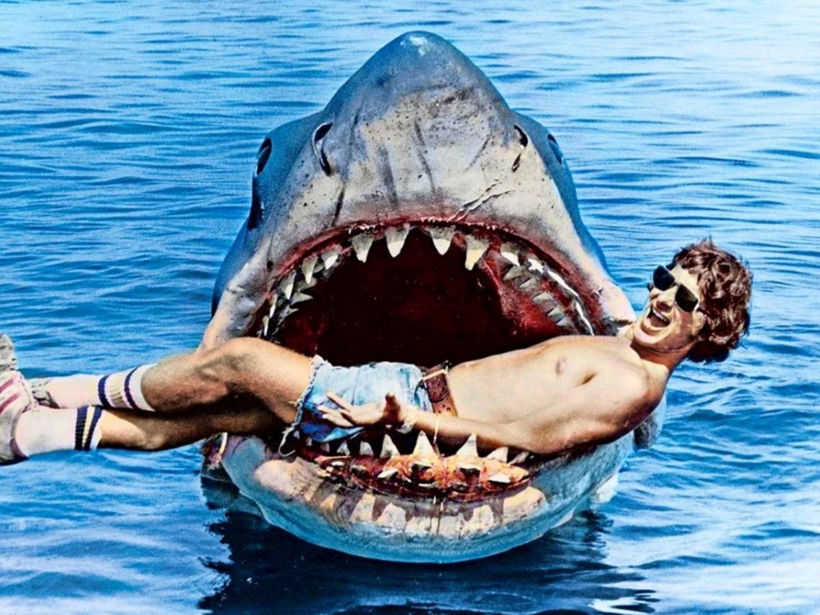 Un hito en la historia del cine: el impacto de Tiburón en la industria Hoy, 20 de junio de 2025, celebramos el 50 aniver... Descubre más sobre dólares, horro...