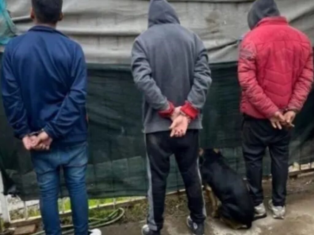 Imagen destacada de noticia
