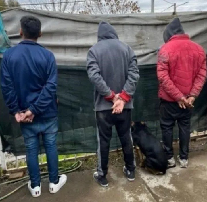 La foto viral del perro, posando junto a los tres detenidos.