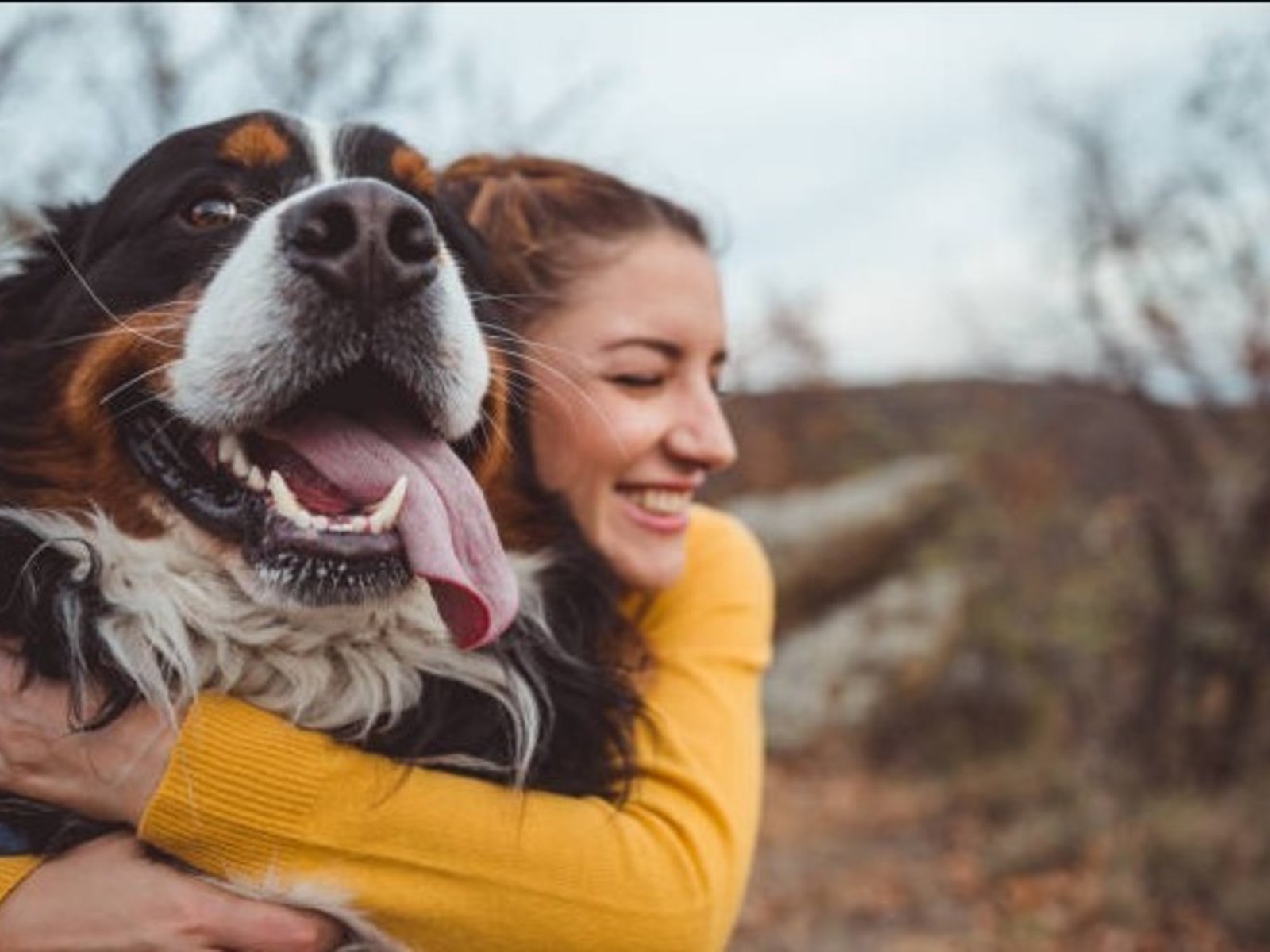 Estar en contacto con un perro, acariciarlo o simplemente compartir tiempo con él puede generar una sensación de calma y relajación. Foto: iStock.