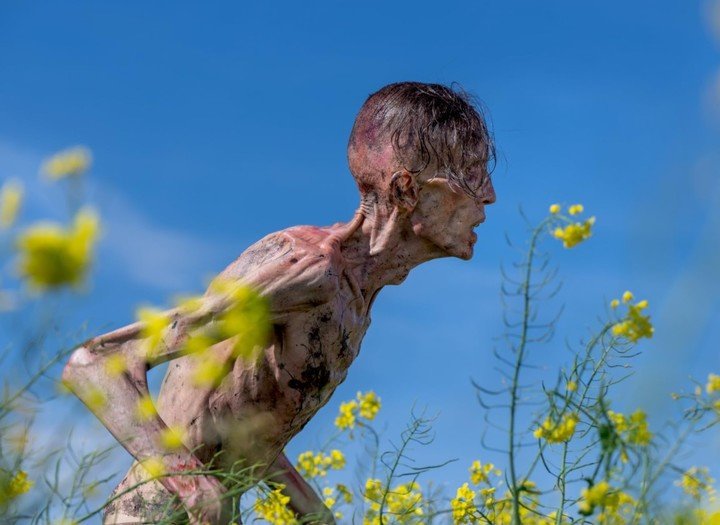 Los infectados con el virus de la rabia no son zombies, porque no murieron...