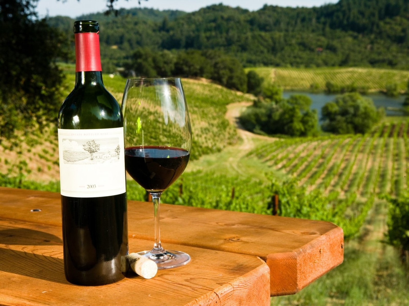 El vino tinto se lo asocia a personas emocionales.