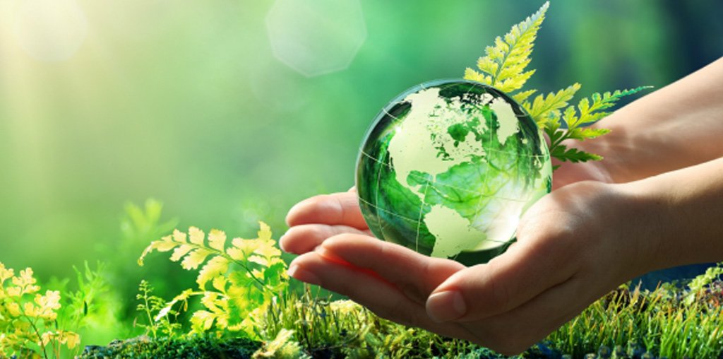 Transformar el modelo de negocio para ganar eficiencia y cuidar el medioambiente en El Cronista, Negocios