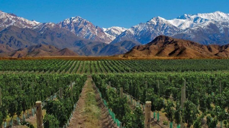 Rutas del Vino en Explora, Mendoza