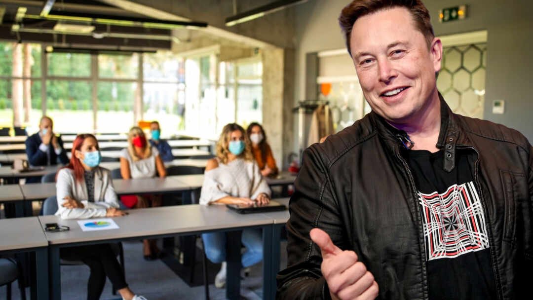 Las carreras que ya no merecen la pena estudiar, según Elon Musk en El Cronista, Información General