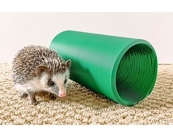 Imagen de Accesorios esenciales para erizos de tierra, populares en Argentina como mascotas exóticas. en Argentina