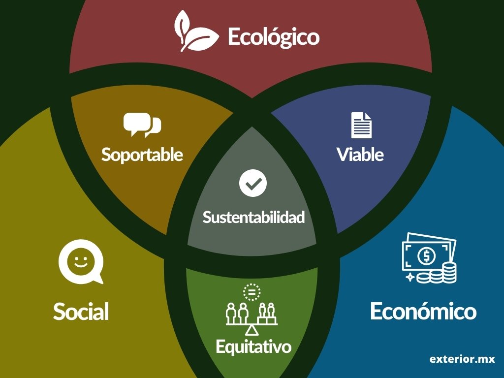PAE apuesta a la sustentabilidad como pilar de su negocio en El Cronista, Negocios