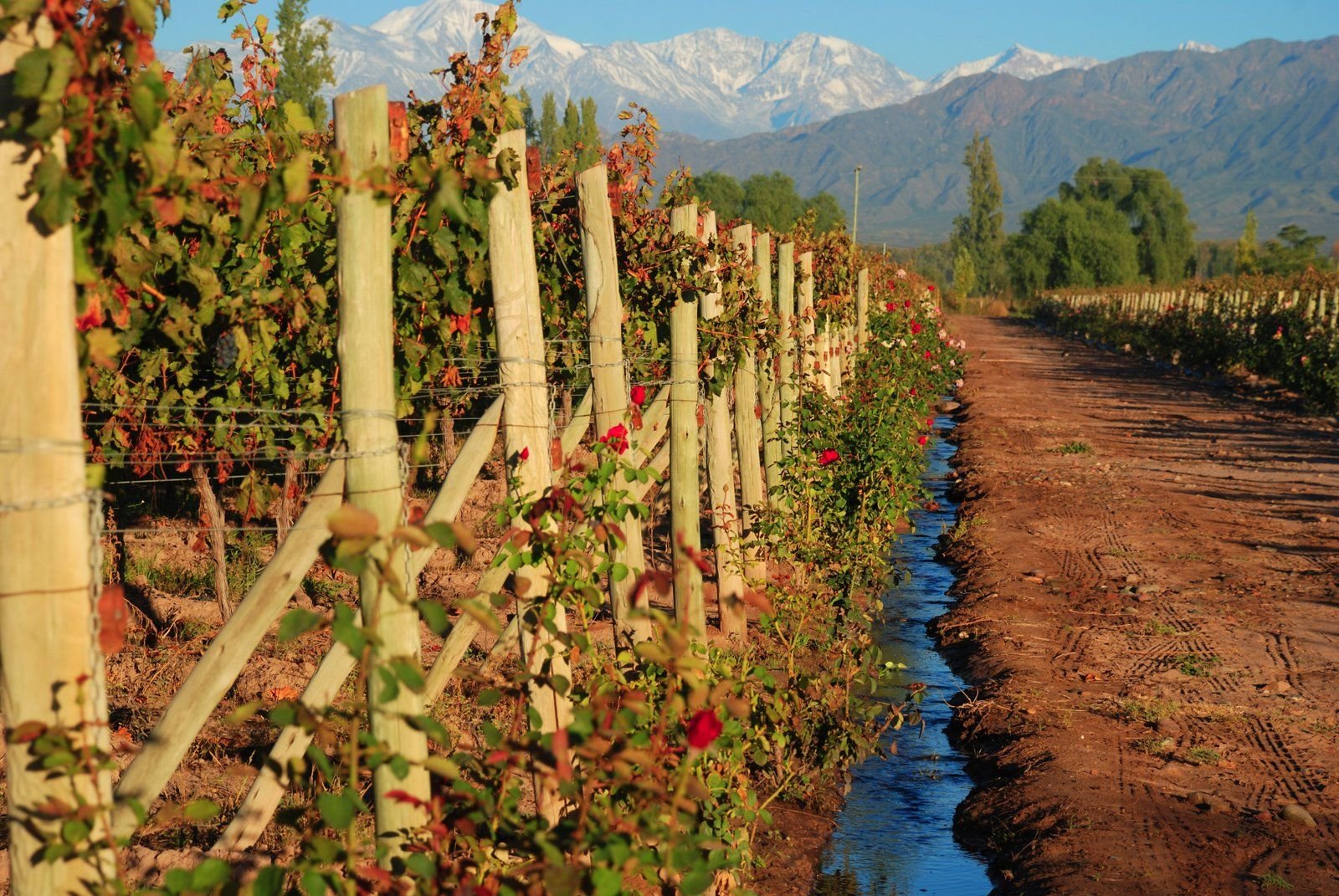 Rutas del Vino en Explora, Mendoza