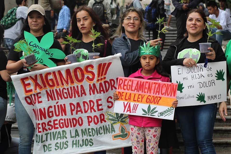 Imagen relacionada con Madres misioneras apoyan el cannabis medicinal; cambios en REPROCANN preocupan a familias.