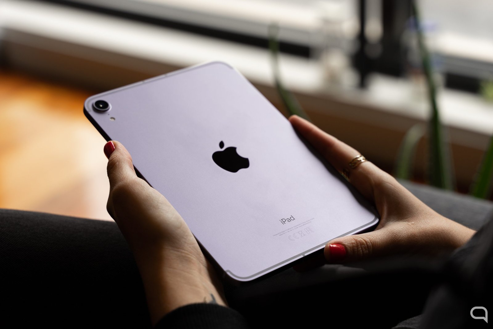 Bocado de Seguridad iPad