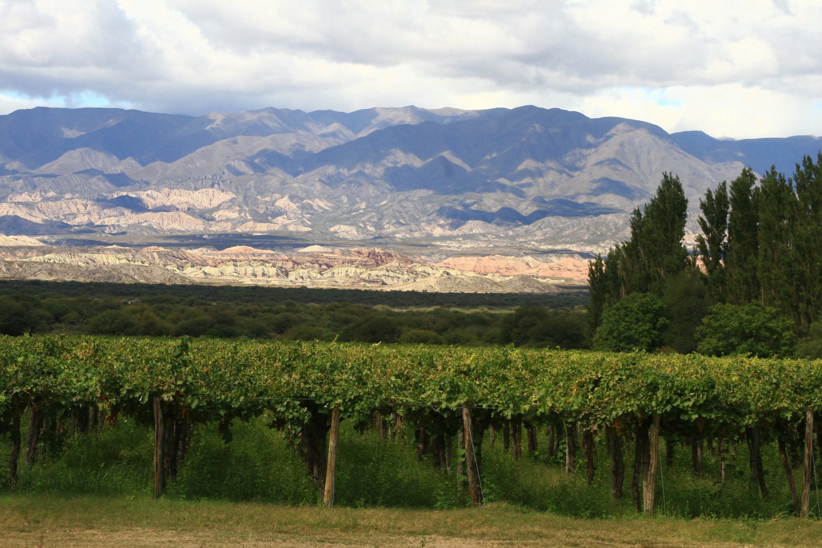 Una vuelta por los Valles Calchaquíes en Pablo, Bizón