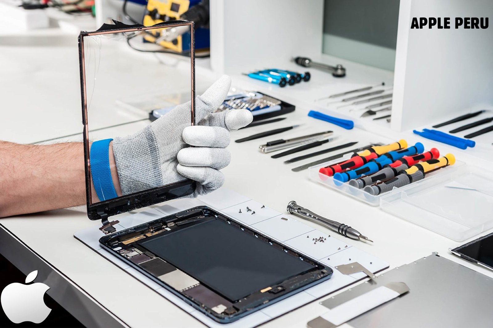 El programa de reparación DIY de Apple ahora incluye los iPads. iPad