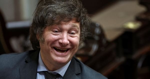 Milei dividido en El Cronista, Economía