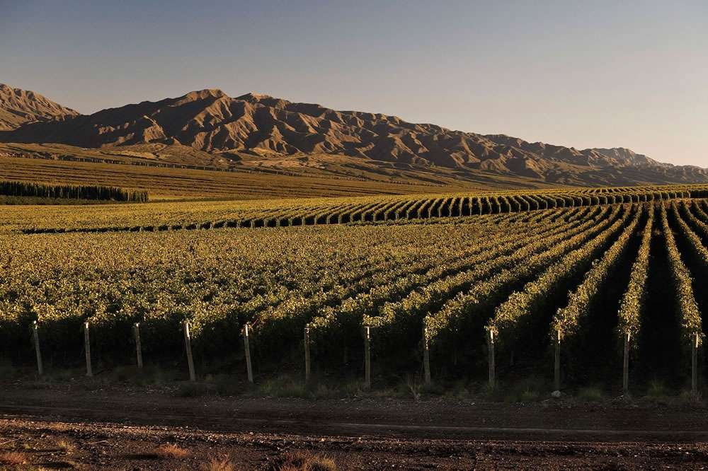 Rutas del Vino en Descubre, Este