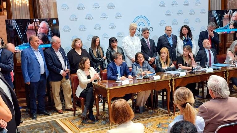 Cumbre de emergencia en el kirchnerismo ante el inminente fallo de la Corte contra Cristina en El Cronista, Economía